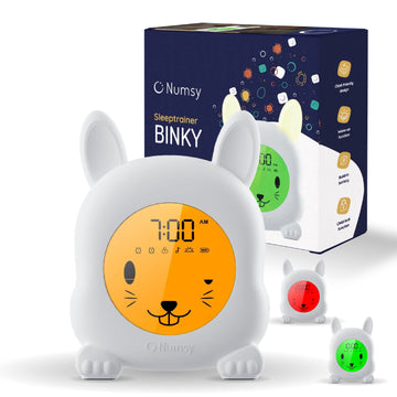 Numsy Slaaptrainer Binky